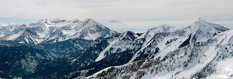 timp box elder pano small